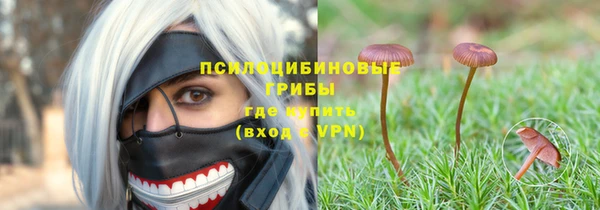 ПСИЛОЦИБИНОВЫЕ ГРИБЫ Бронницы