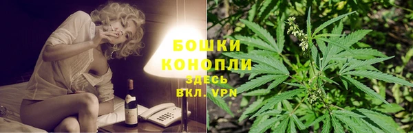 ПСИЛОЦИБИНОВЫЕ ГРИБЫ Бронницы