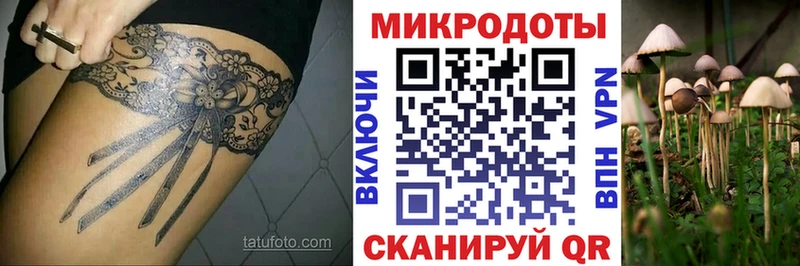 Галлюциногенные грибы мицелий  Туапсе 